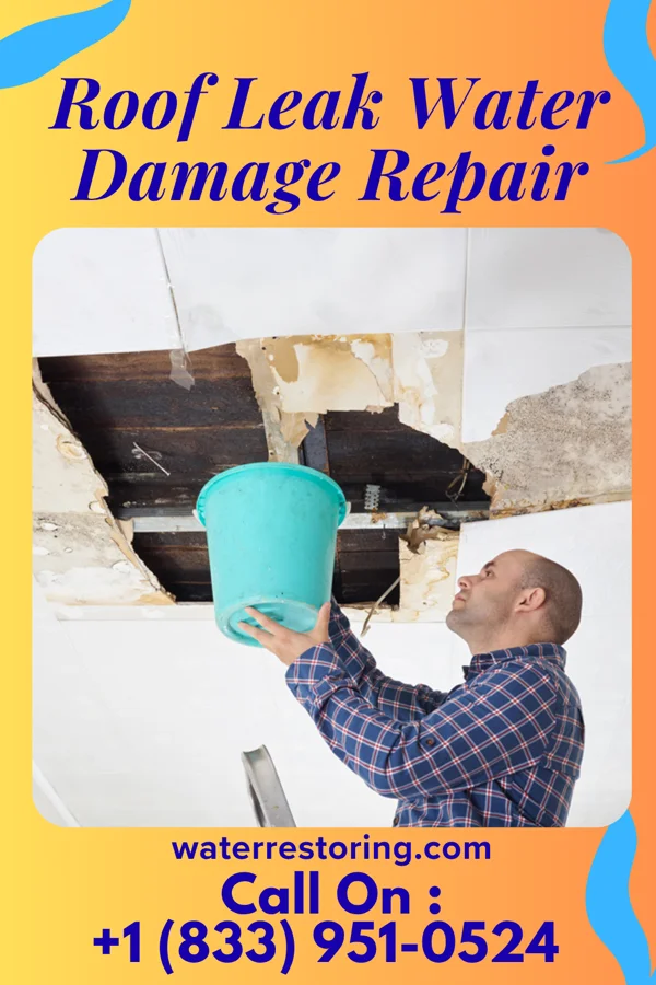 Roof Leak Water Damage Repair in Olmitz, KS